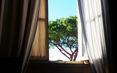 Wisdom Etched in Creation