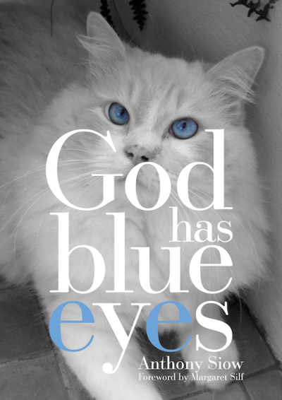 God Has Blue Eyes: Finding God in the Tender Bond with My Cat